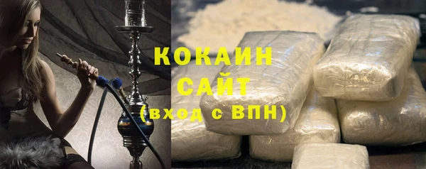 индика Бородино