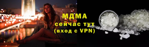 индика Бородино