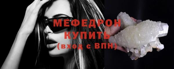 индика Бородино