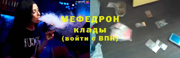 индика Бородино