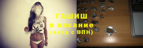 индика Бородино
