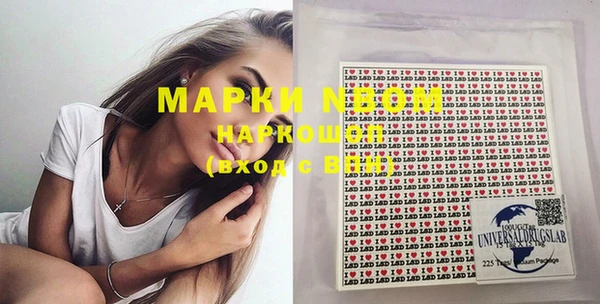 индика Бородино