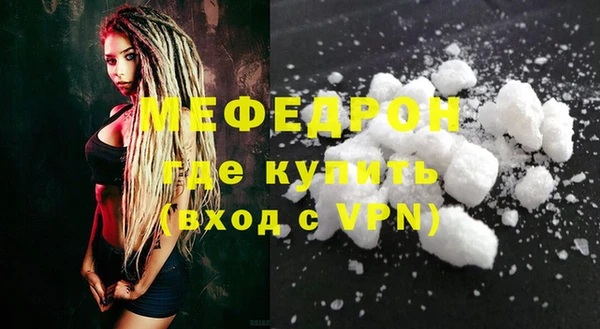индика Бородино