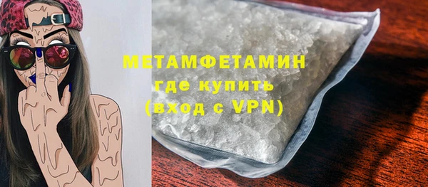 индика Бородино