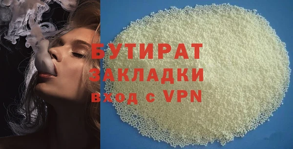 индика Бородино