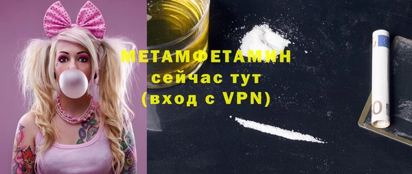 индика Бородино