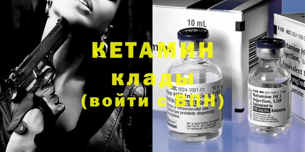 индика Бородино