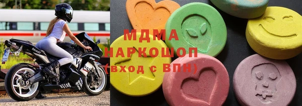 индика Бородино