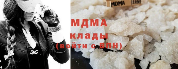 индика Бородино